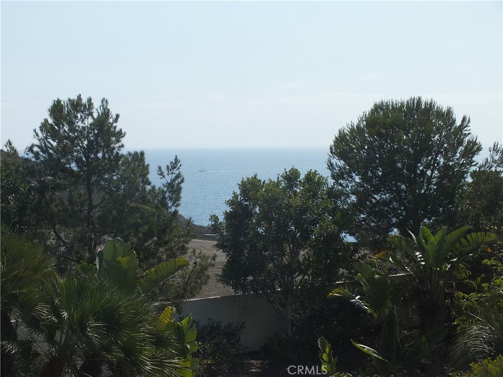 34140 Selva Road 221, Dana Point CA 92629 - photo 31