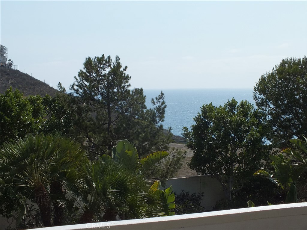 34140 Selva Road 221, Dana Point CA 92629 - photo 32