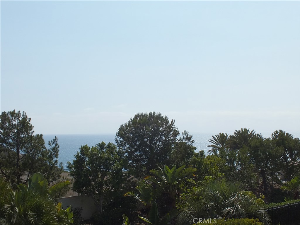 34140 Selva Road 221, Dana Point CA 92629 - photo 33