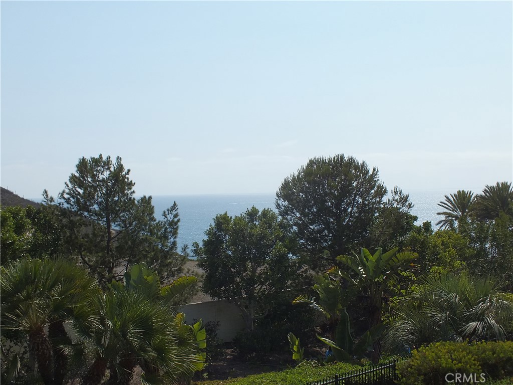 34140 Selva Road 221, Dana Point CA 92629 - photo 34