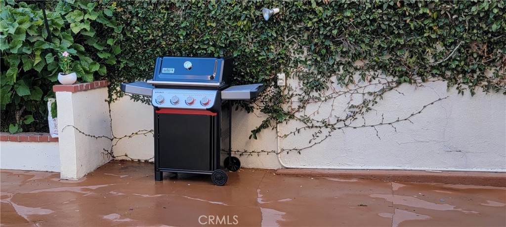 New 4 Burner Weber BBQ Just Outside Kitchen and Patios - 34283 Via Lopez, Dana Point CA 92624 - photo 19