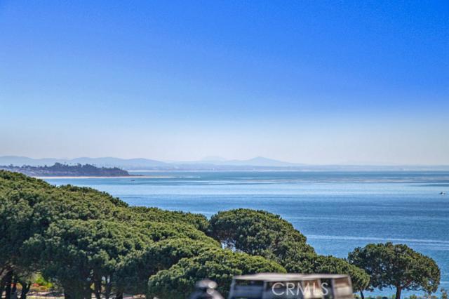 Panoramic ocean & park views - 34300 Lantern Bay Drive 59, Dana Point CA 92629 - photo 1