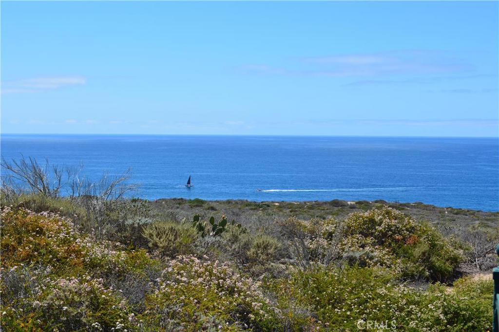 Headland Reserve view from cds - 34381 Dana Strand Road 4, Dana Point CA 92629 - photo 1