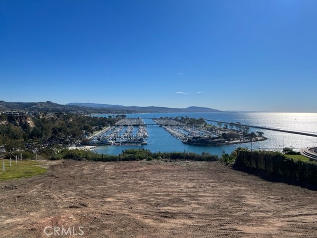 34412 St Of The Green Lant, Dana Point CA 92629 - photo 2