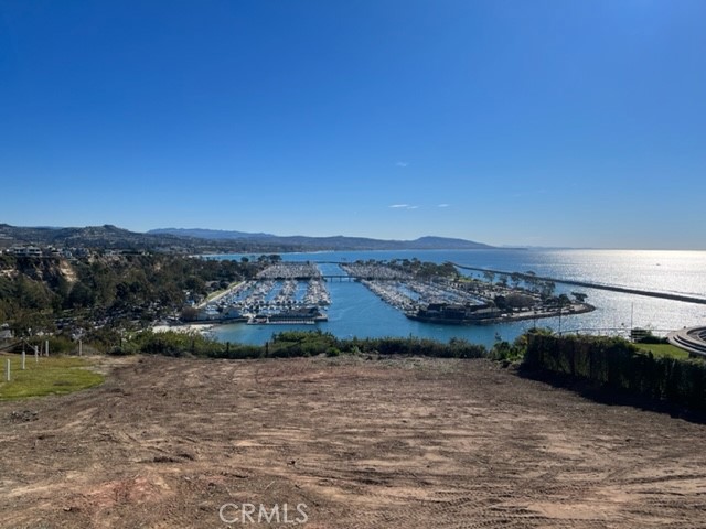 34412 St Of The Green Lant, Dana Point CA 92629 - photo 2