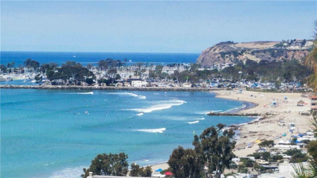 Coastline, White Water Doheny Beach Views. - 34431 Camino Capistrano, Dana Point CA 92624 - photo 1