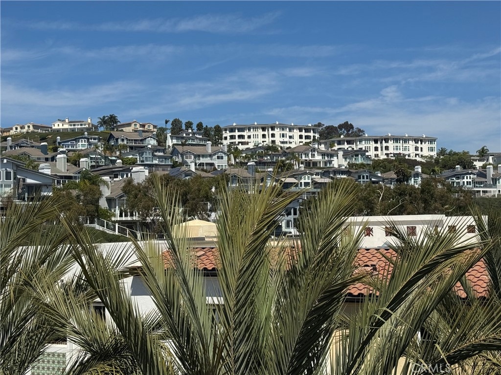 3446 Doheny Way, Dana Point CA 92629 - photo 50