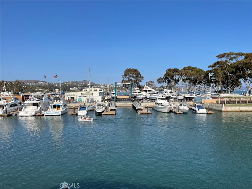 3446 Doheny Way, Dana Point CA 92629 - photo 51
