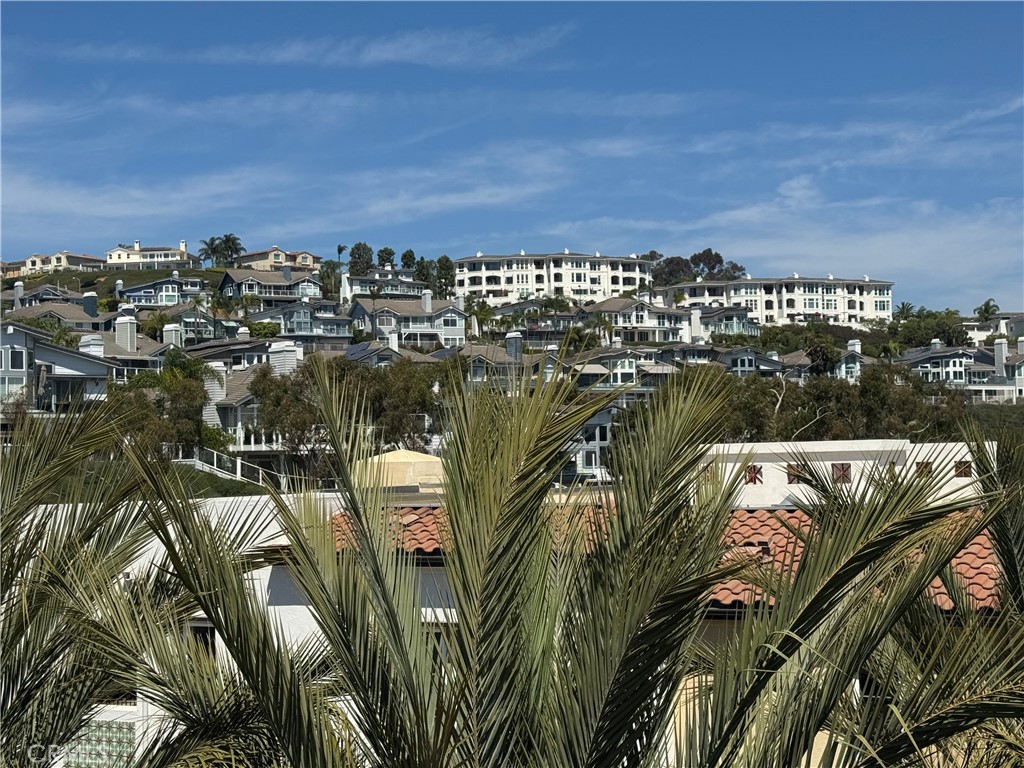 3446 Doheny Way, Dana Point CA 92629 - photo 51