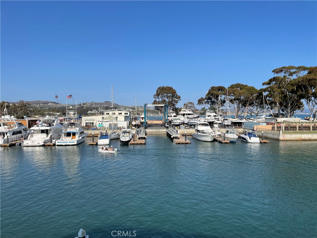 3446 Doheny Way, Dana Point CA 92629 - photo 52