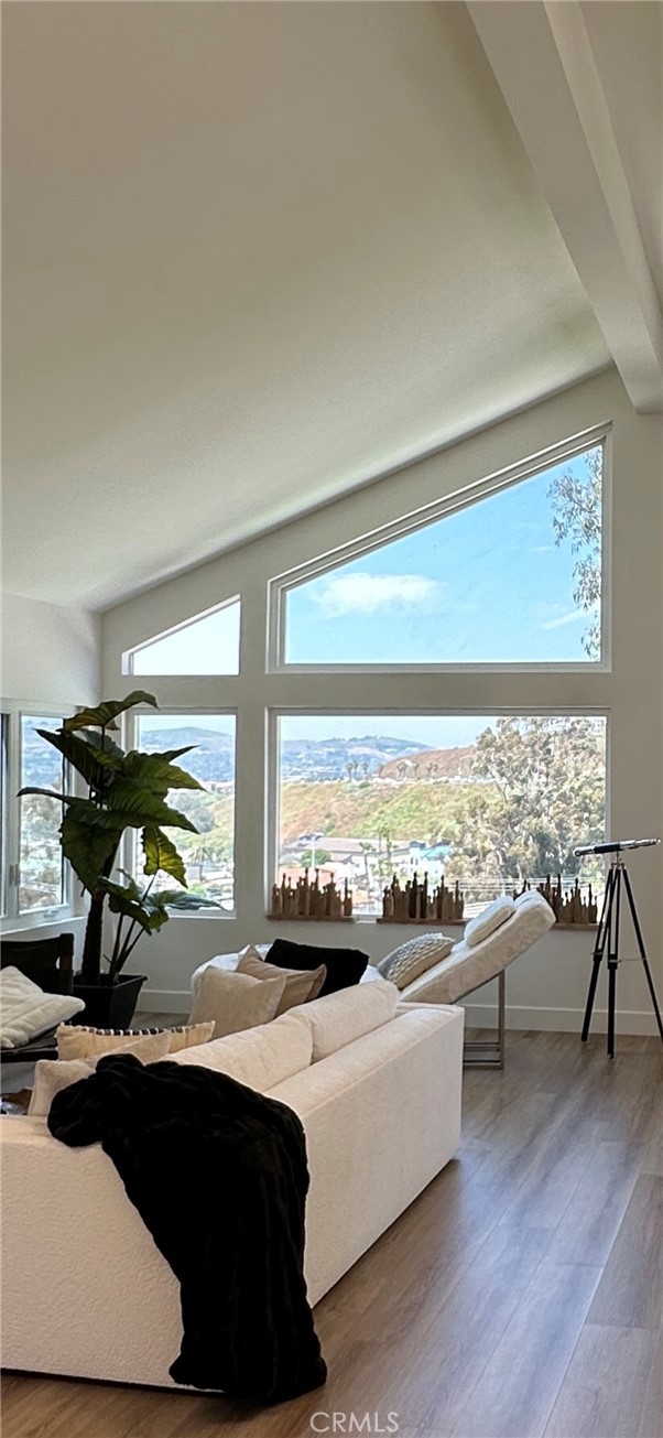 Fablous views through walls of glass - 34464 Via Verde, Dana Point CA 92624 - photo 1