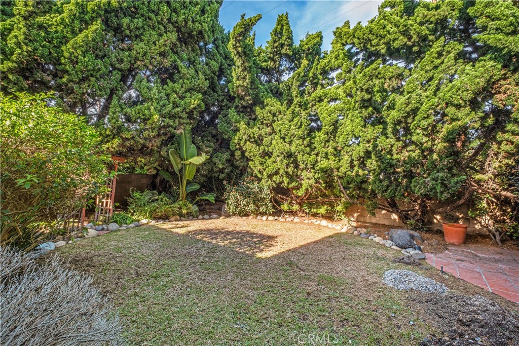Backyard - 34866 Doheny Place, Dana Point CA 92624 - photo 41