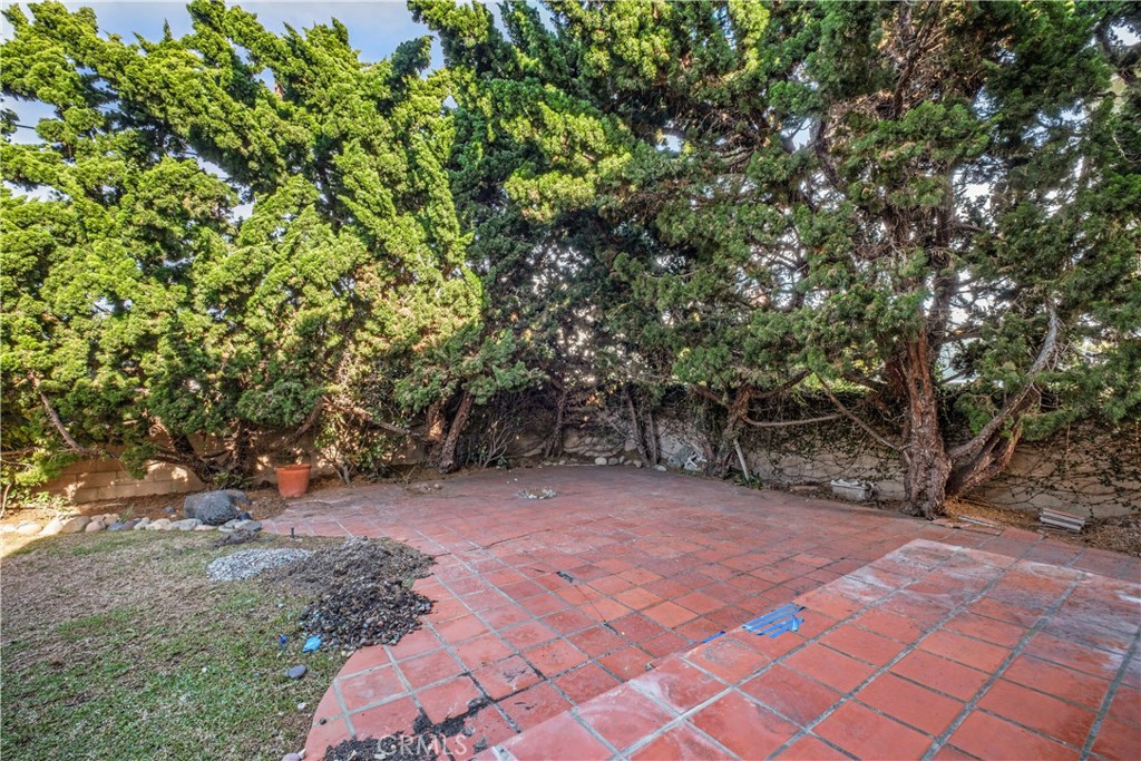 backyard - 34866 Doheny Place, Dana Point CA 92624 - photo 42