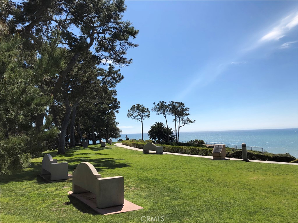 Pines park - 34866 Doheny Place, Dana Point CA 92624 - photo 52