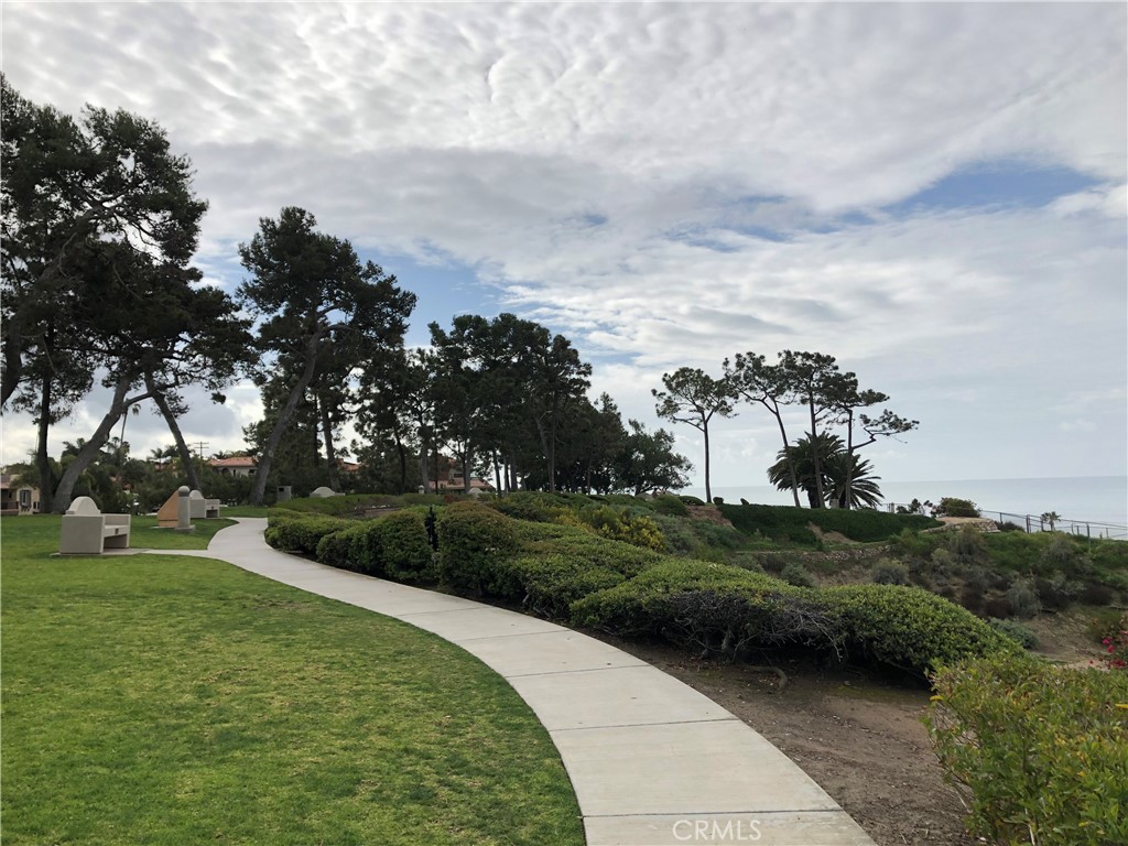 Pines Park - 34866 Doheny Place, Dana Point CA 92624 - photo 56