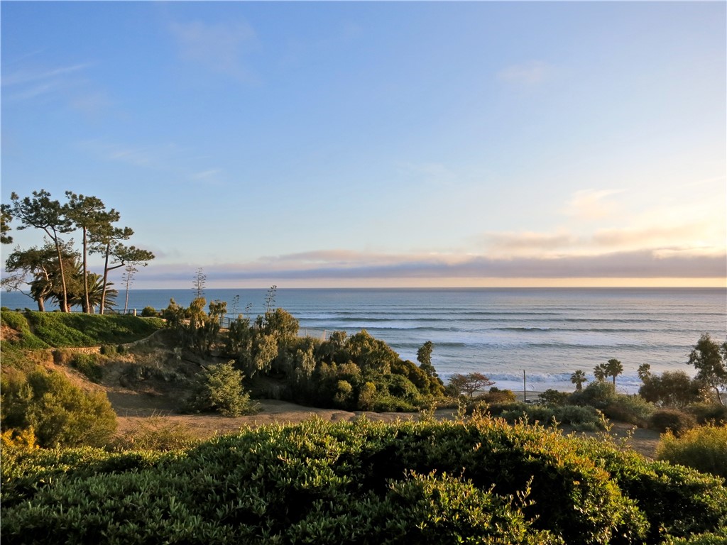 34866 Doheny Place, Dana Point CA 92624 - photo 59
