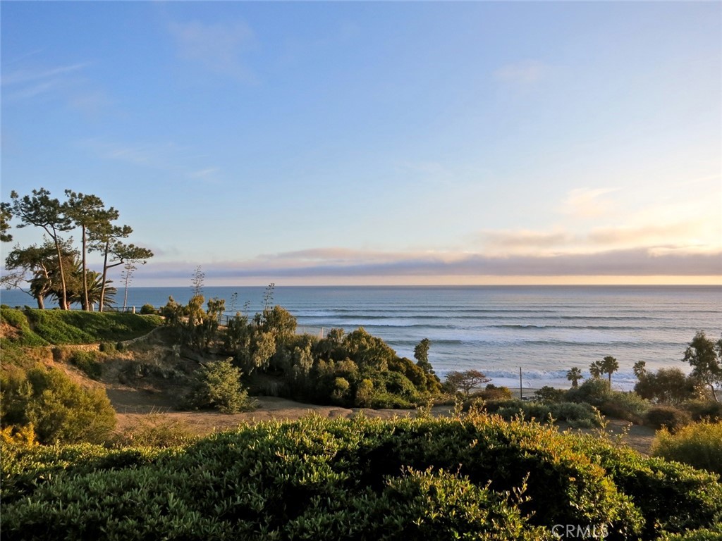 34866 Doheny Place, Dana Point CA 92624 - photo 60
