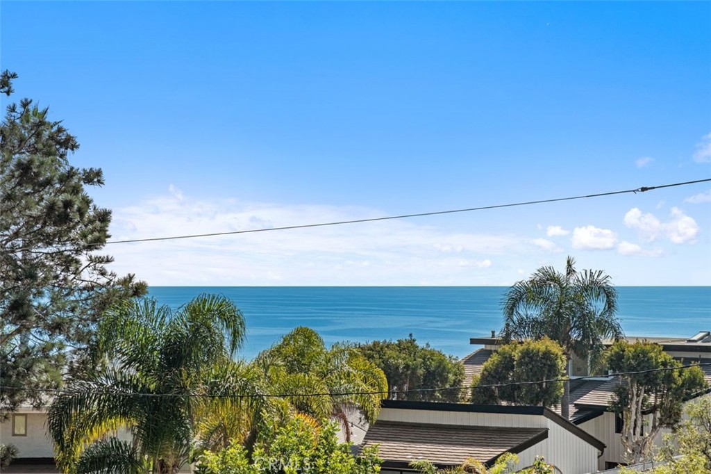 Whale watching anyone? - 34882 Doheny, Dana Point CA 92624 - photo 24