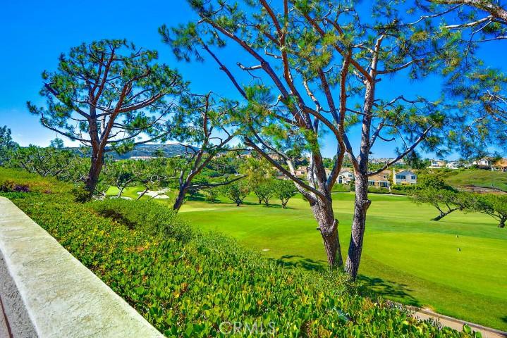 35 Wightman Court, Dana Point CA 92629 - photo 1