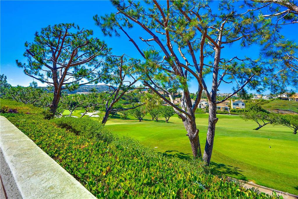 35 Wightman Court, Dana Point CA 92629 - photo 1