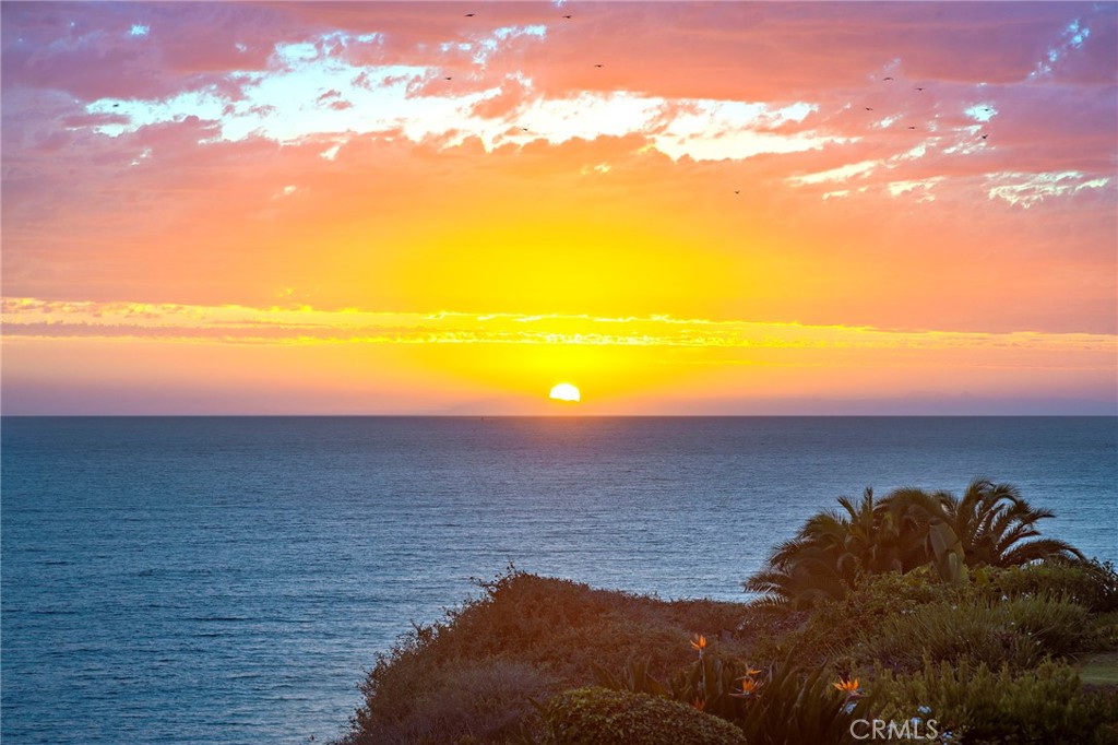 35031 Camino Capistrano, Dana Point CA 92642 - photo 5
