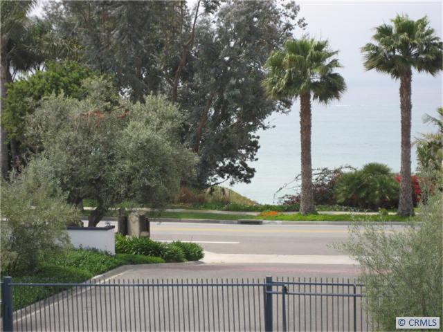 View from patio and deck - 35236 CAMINO CAPISTRANO 8, Dana Point CA 92624 - photo 1