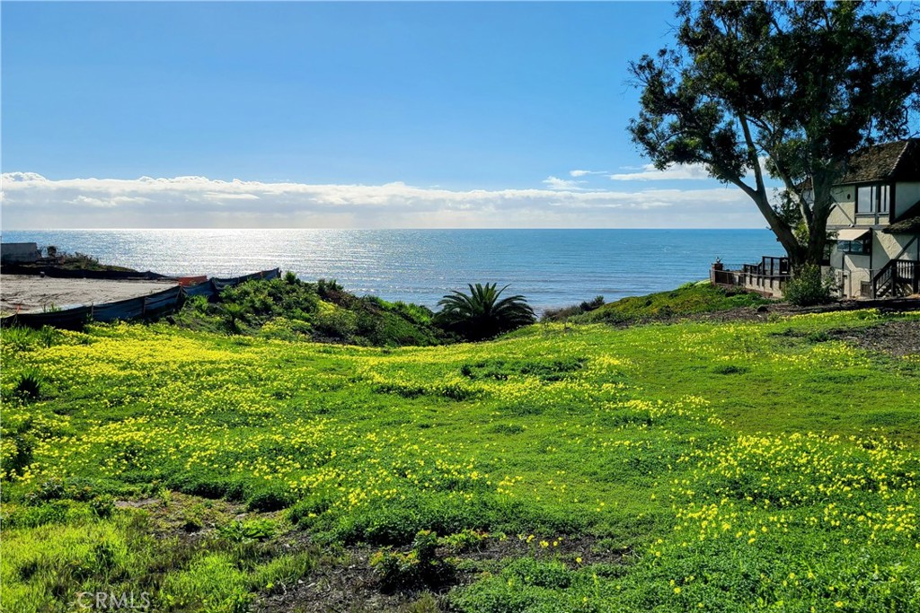 Welcome to 35291 Camino Capistrano! - 35291 Camino Capistrano, Dana Point CA 92624 - photo 1