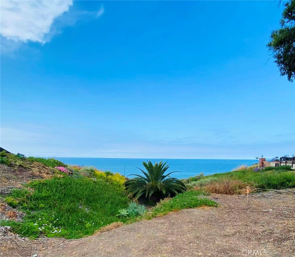 35295 Camino Capistrano, Dana Point CA 92624 - photo 1