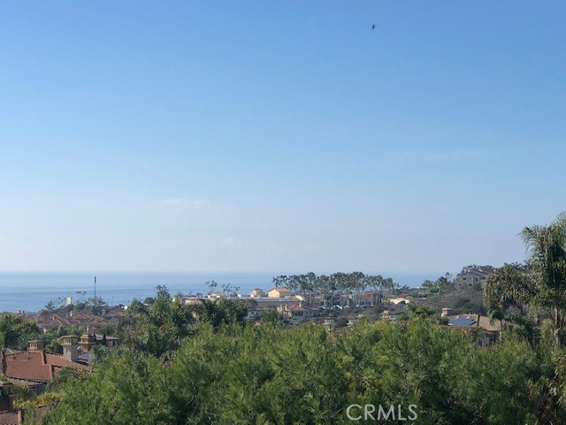 38 Corniche Drive A, Dana Point CA 92629 - photo 1
