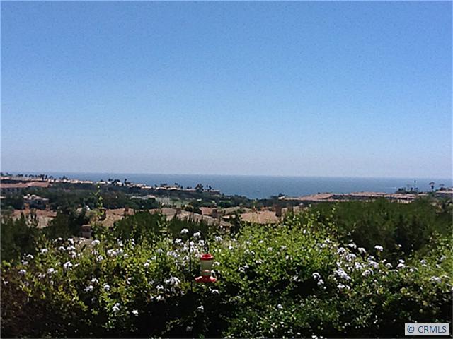 38 CORNICHE Drive A, Dana Point CA 92629 - photo 1