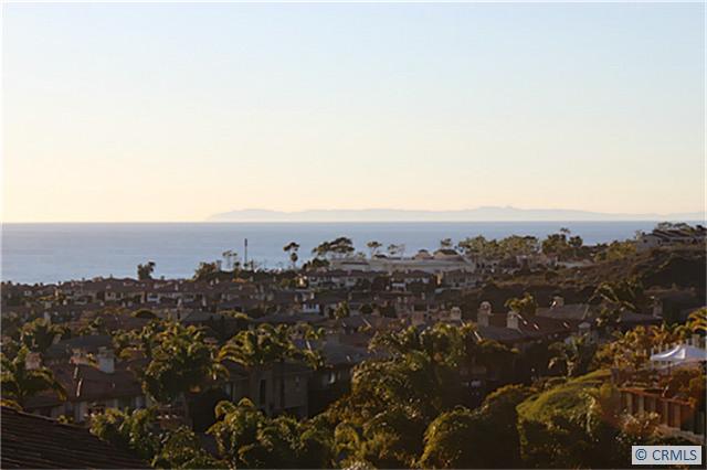 View from the front balcony of this home. - 38 CORNICHE Drive F, Dana Point CA 92629 - photo 1