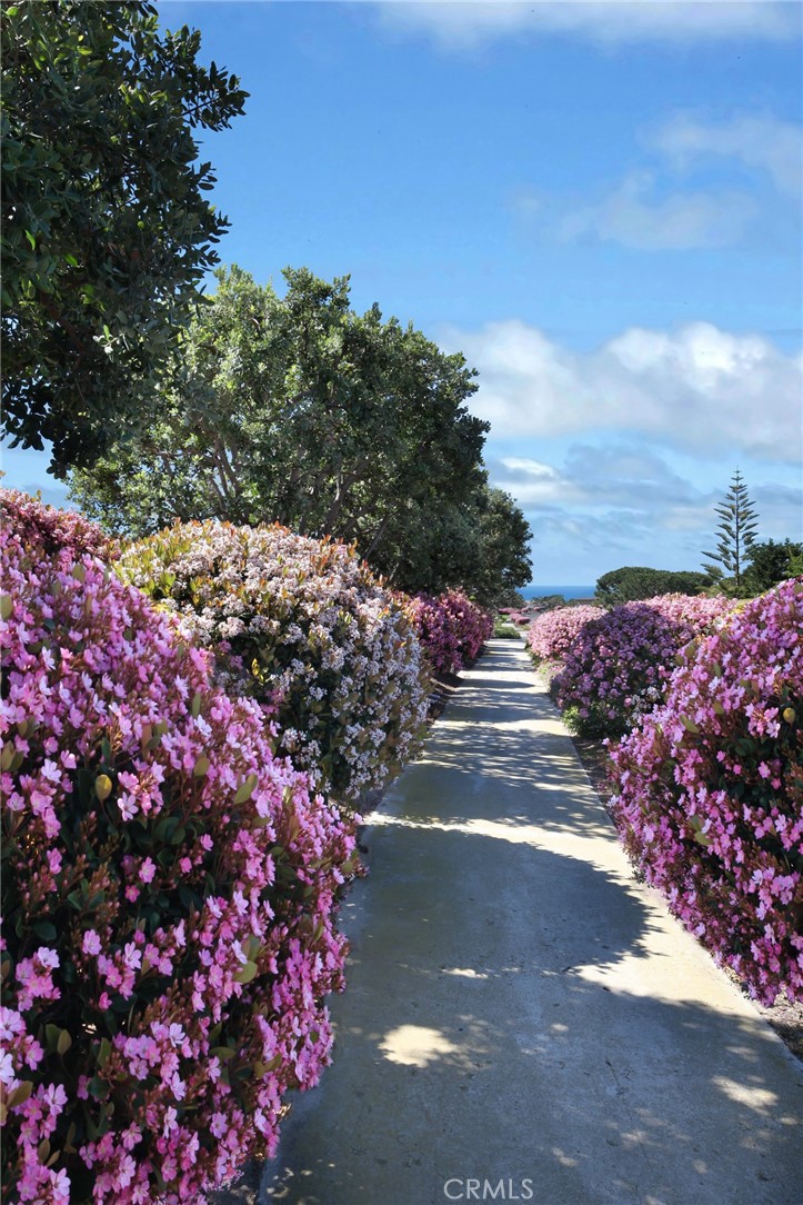 SIDEWALK PATHWAYS TO THE BEACH - 4 Breakers, Dana Point CA 92629 - photo 38