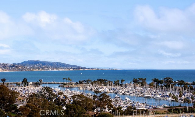 NEARBY MARINA AT DANA POINT WITH SHOPS & RESTAURANTS - 4 Breakers, Dana Point CA 92629 - photo 43