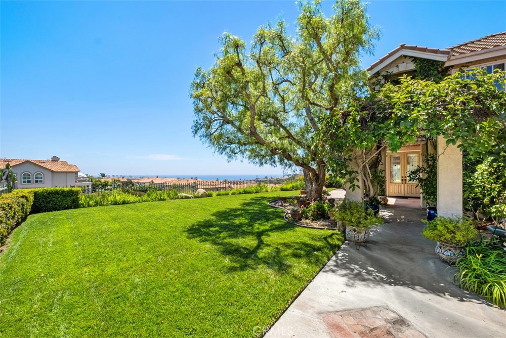 Large grass yard inside the fully fenced - 41 Costa Del Sol, Dana Point CA 92629 - photo 7