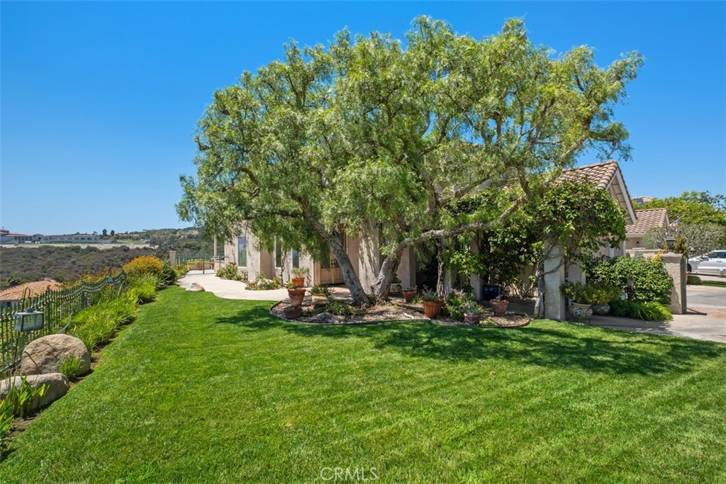 Lush landscaping and private yard - 41 Costa Del Sol, Dana Point CA 92629 - photo 28