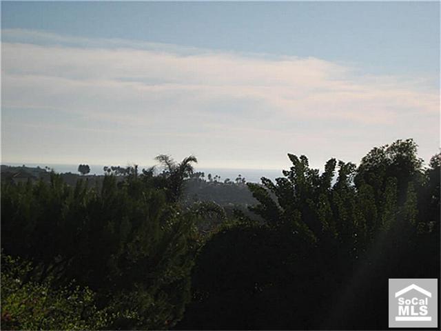 ocean view - 42 CORNICHE Drive A, Dana Point CA 92629 - photo 1