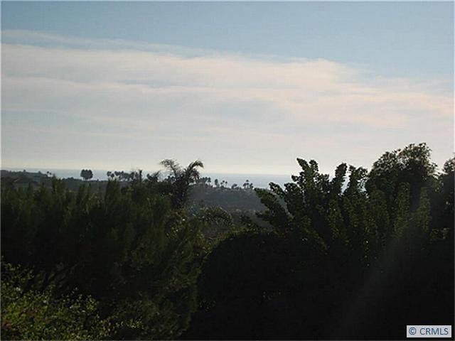 view - 42 CORNICHE Drive A, Dana Point CA 92629 - photo 1