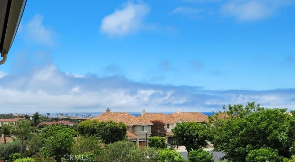 View from patio - 44 Corniche Drive E, Dana Point CA 92629 - photo 1