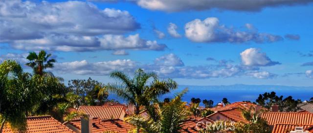 Your gorgeous Catalina view! - 45 Saint Michael, Dana Point CA 92629 - photo 1