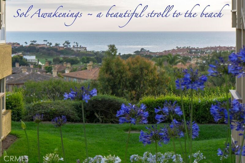 46 Corniche Drive A, Dana Point CA 92629 - photo 1