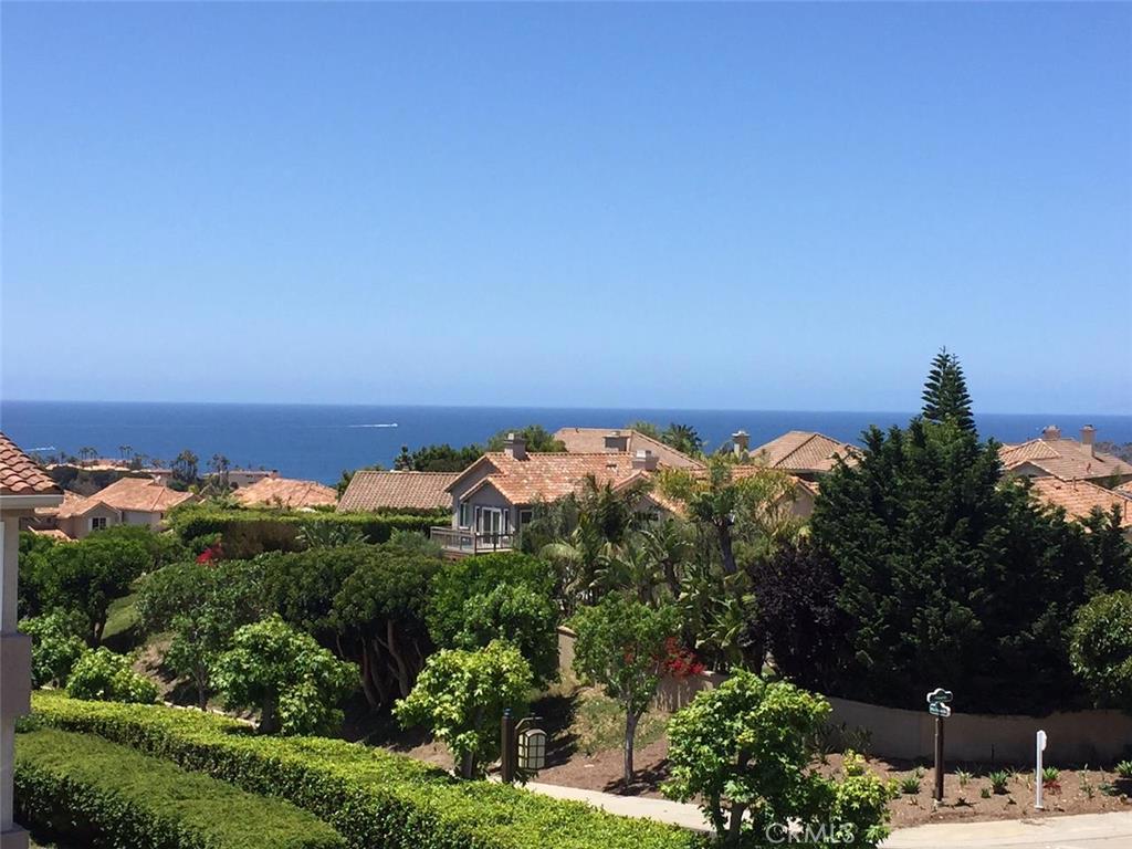 Ocean View from front deck - 48 Corniche Drive K, Dana Point CA 92629 - photo 1