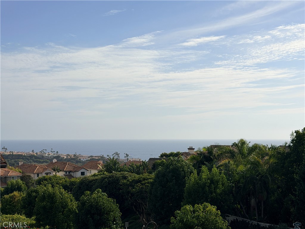 View from front landing of unit - 48 Corniche Drive L, Dana Point CA 92629 - photo 2