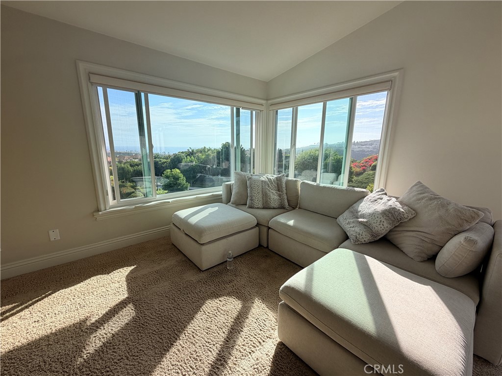 48 Corniche Drive L, Dana Point CA 92629 - photo 6