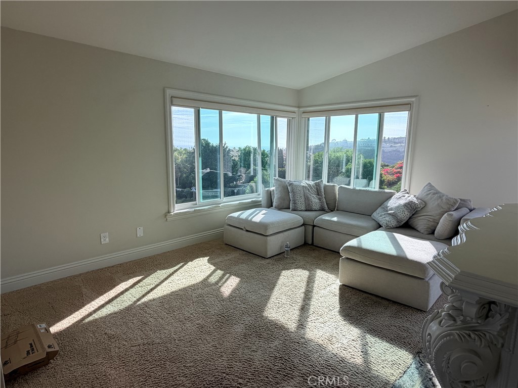 48 Corniche Drive L, Dana Point CA 92629 - photo 9