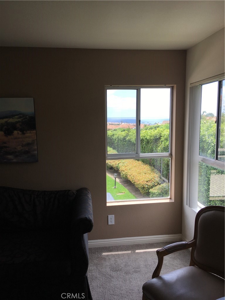 Ocean View from Living Room - 48 Corniche H, Dana Point CA 92629 - photo 1