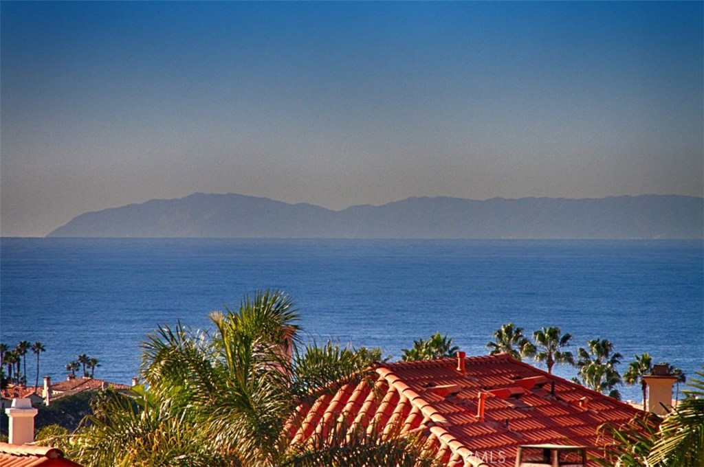 Breathtaking view! - 49 Saint Michael, Dana Point CA 92629 - photo 1