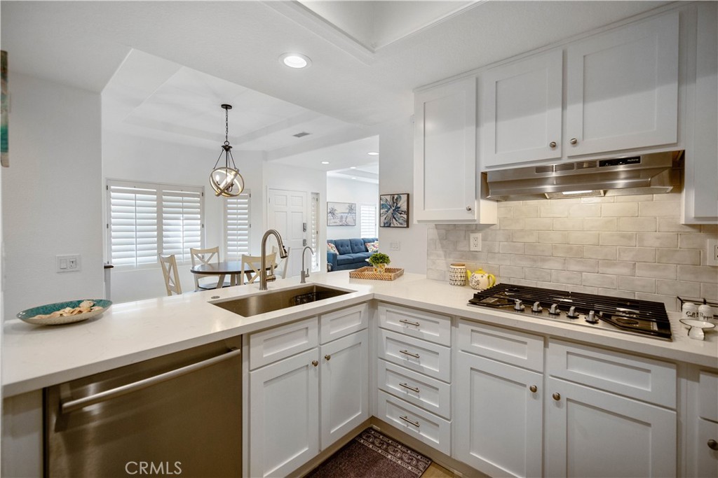 5 Forest Hills Court 77, Dana Point CA 92629 - photo 16