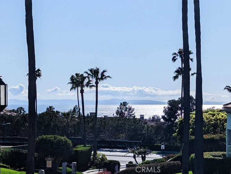 5 Forest Hills Court 77, Dana Point CA 92629 - photo 39