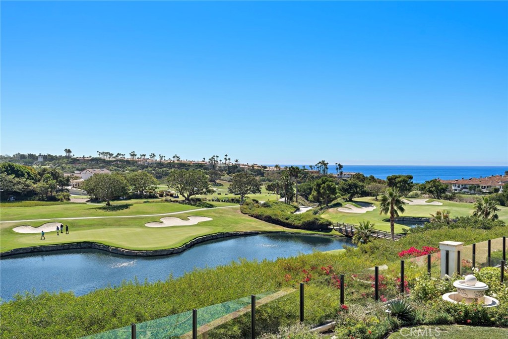 5 Via Monarca, Dana Point CA 92629 - photo 48