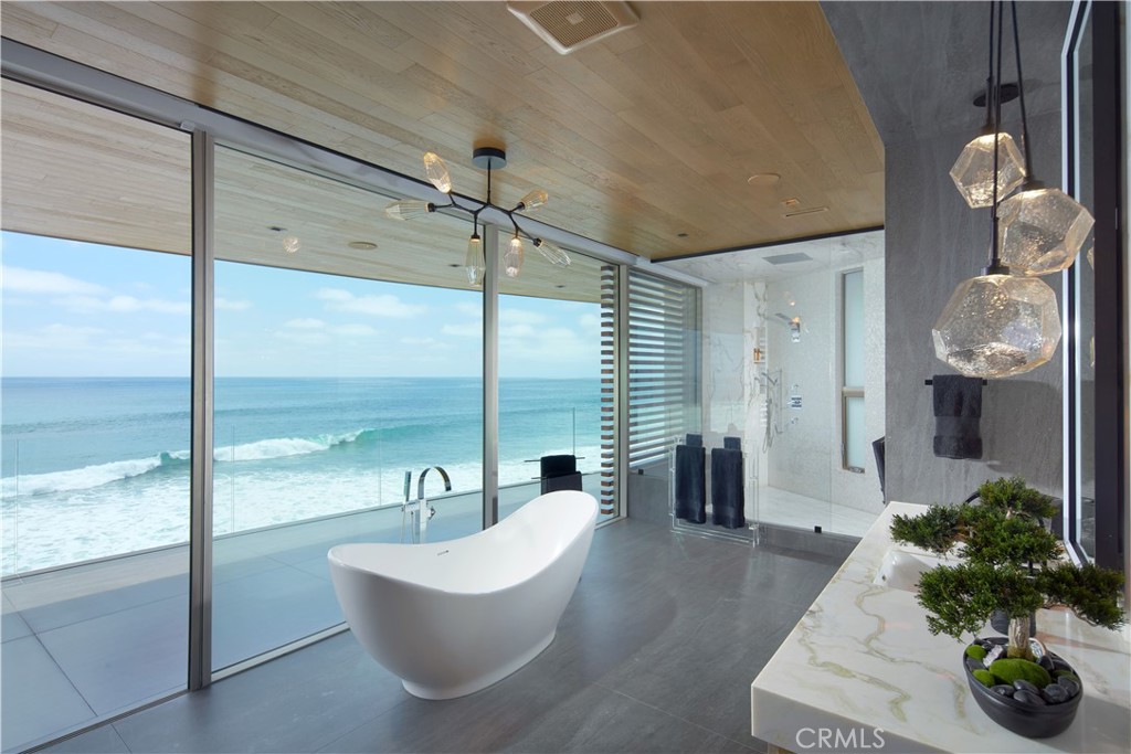 55 Strand Beach Drive, Dana Point CA 92629 - photo 29